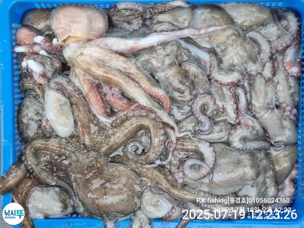 F2731356YB.jpg