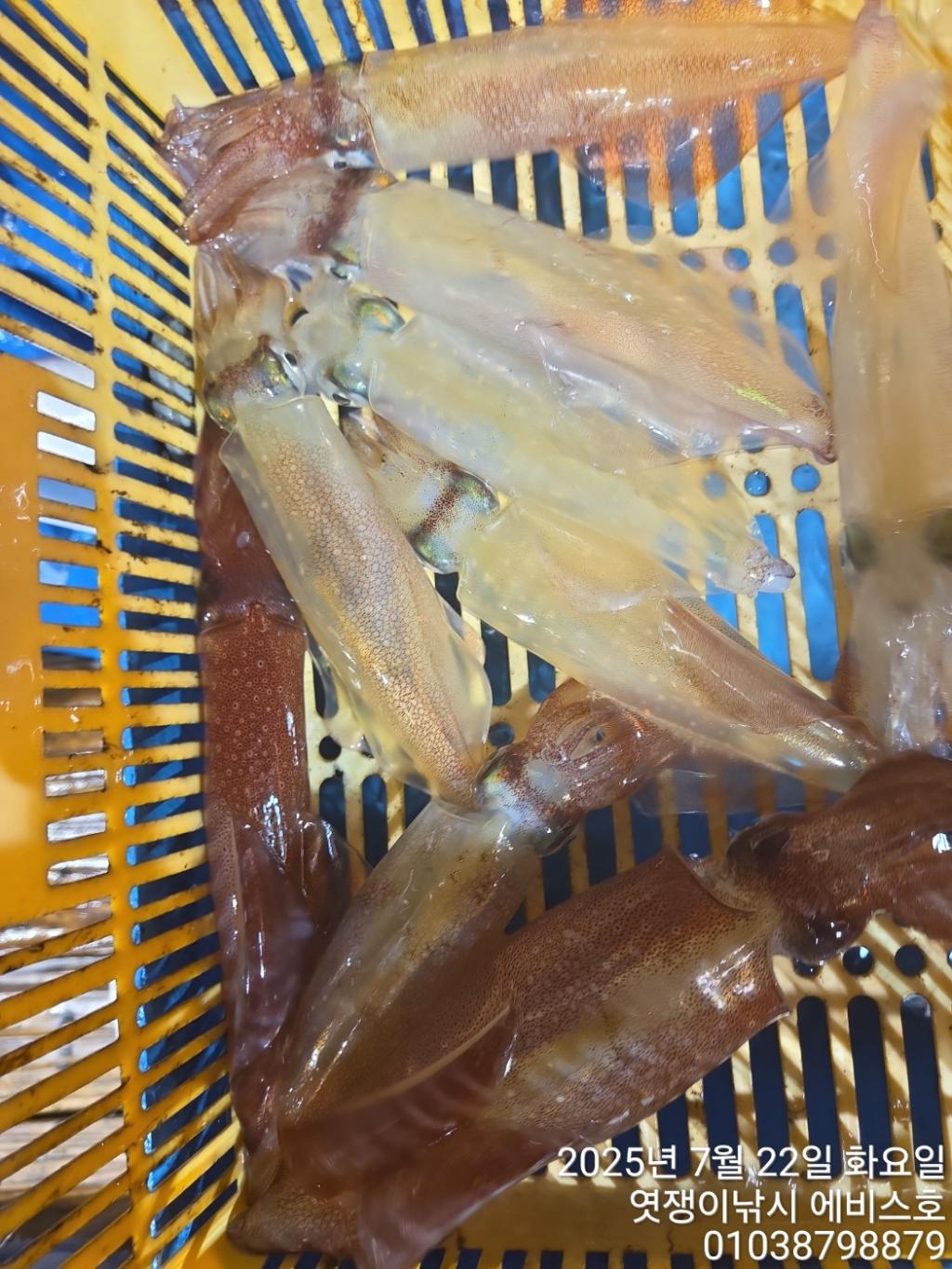F27314721T.jpg