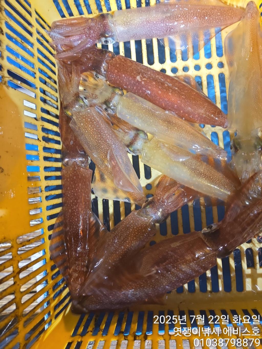 F2731473D0.jpg