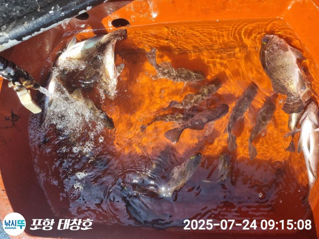 F2731586WE.jpg