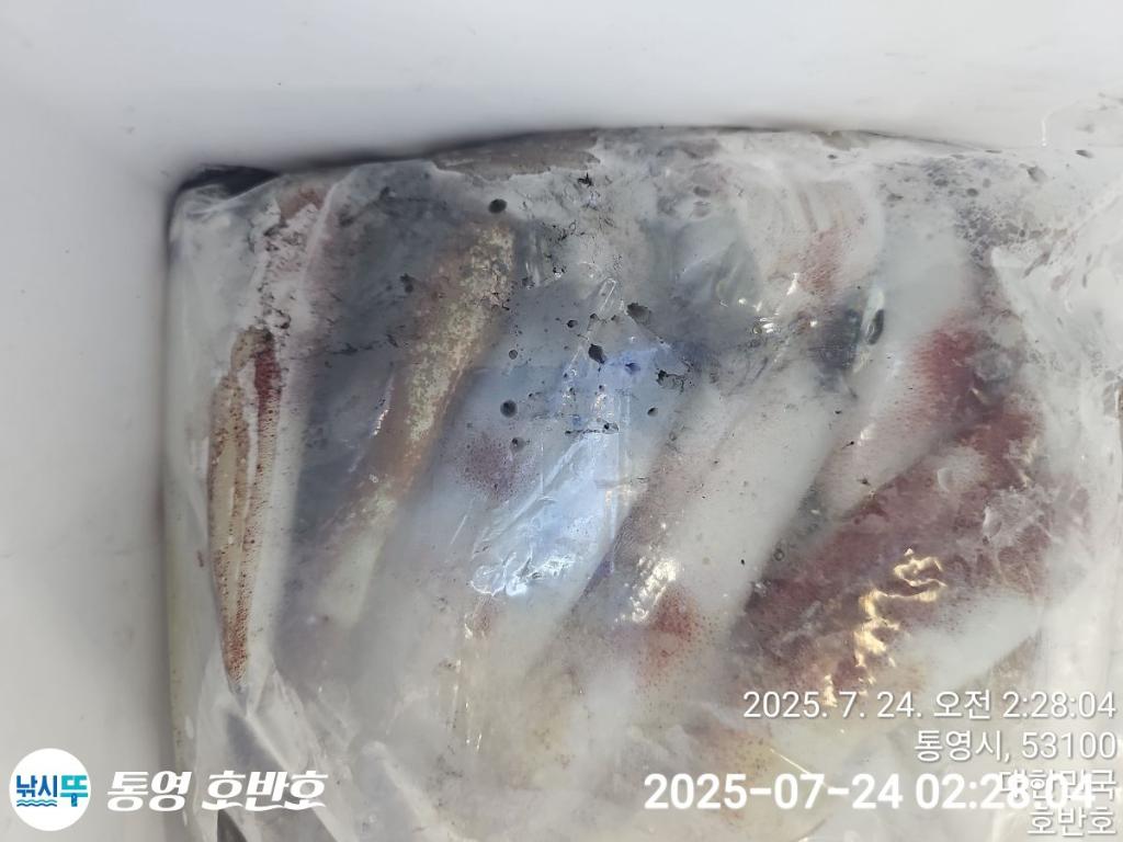F2731663HB.jpg