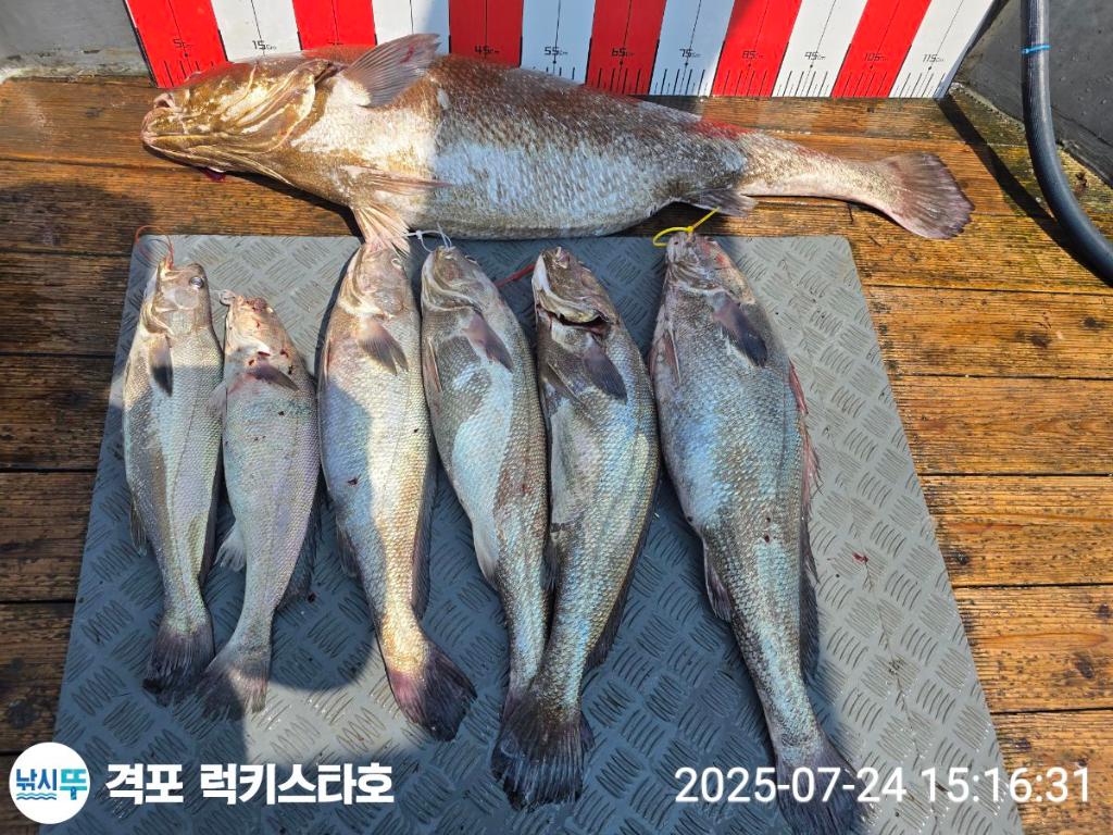 F2731854NT.jpg