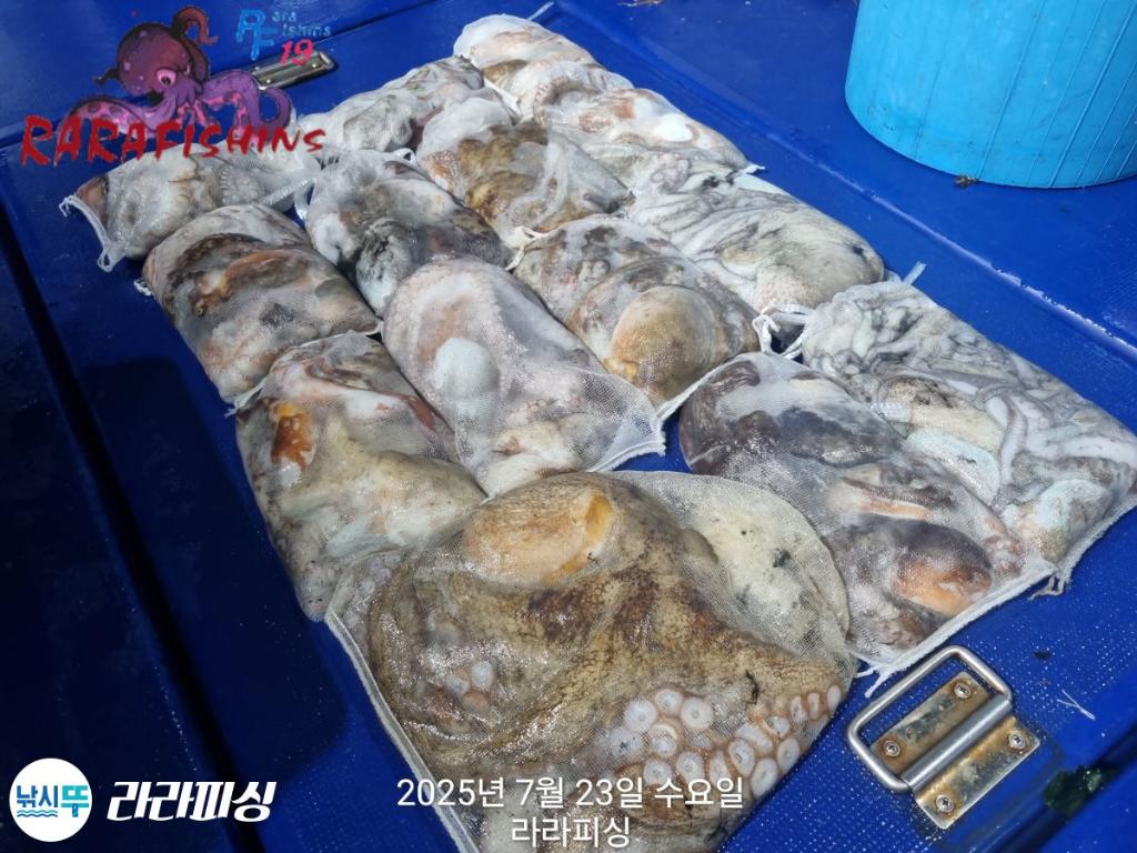 F27319138P.jpg