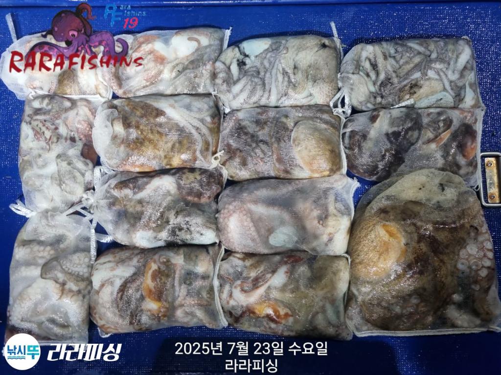 F2731914KI.jpg