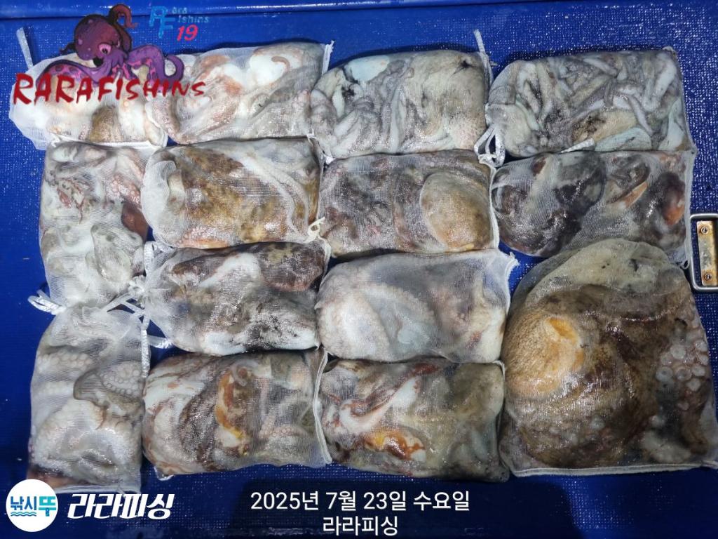 F273191551.jpg