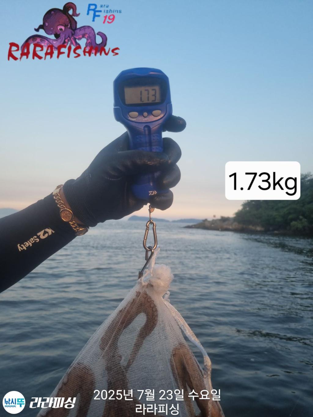 F27319365R.jpg