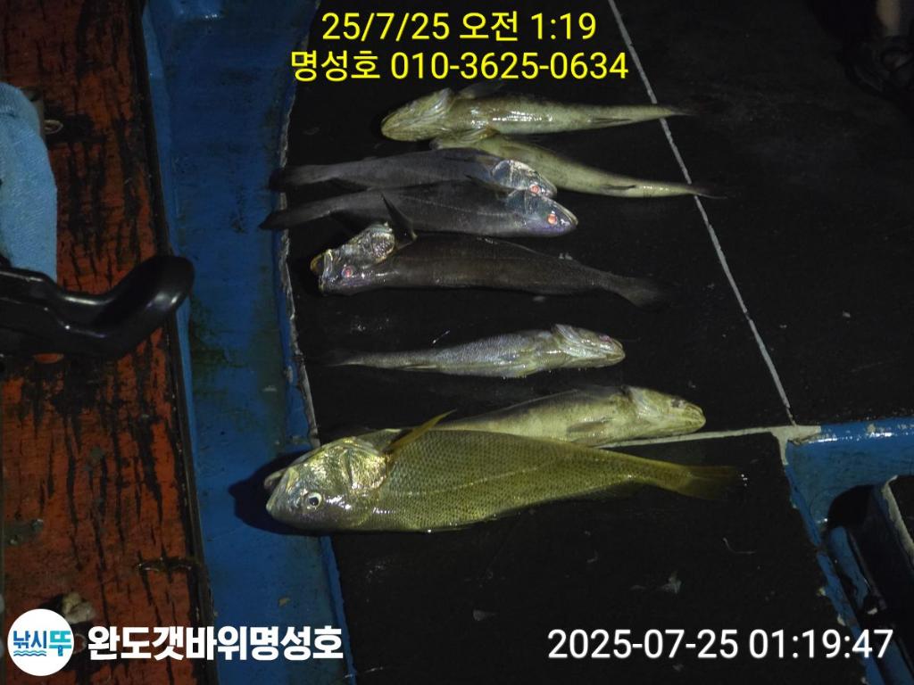 F2732016A1.jpg