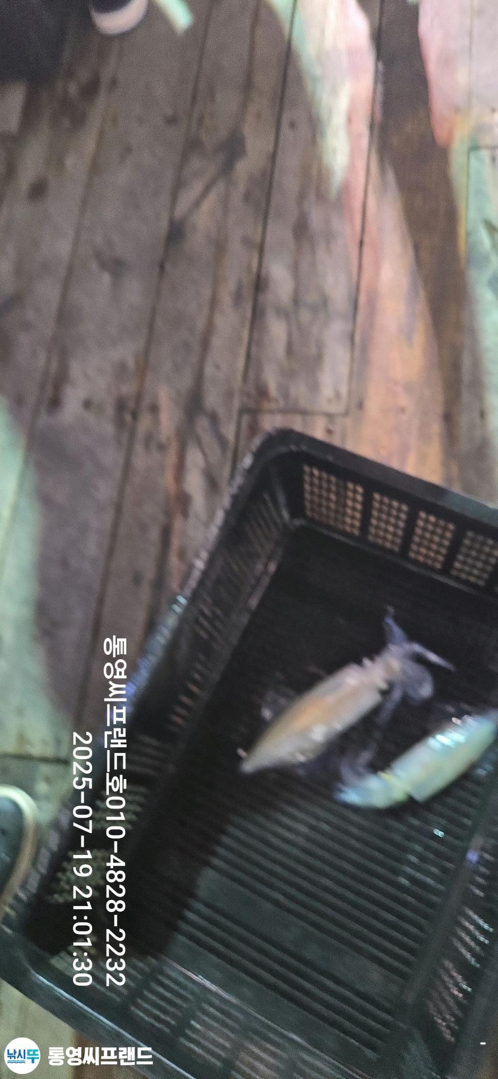 F2732143SN.jpg