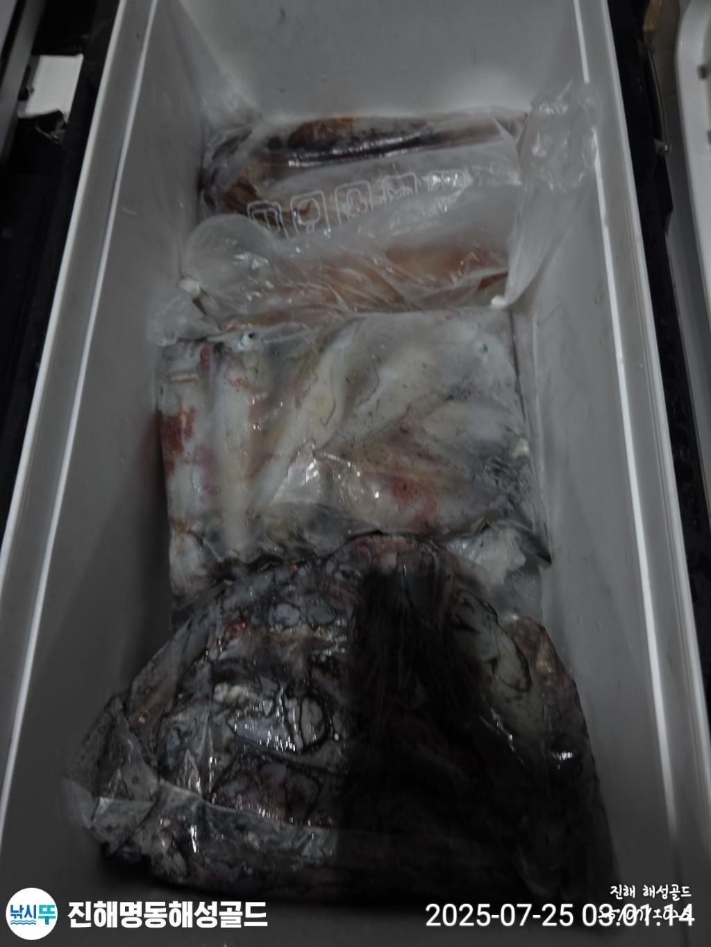 F2732151R8.jpg