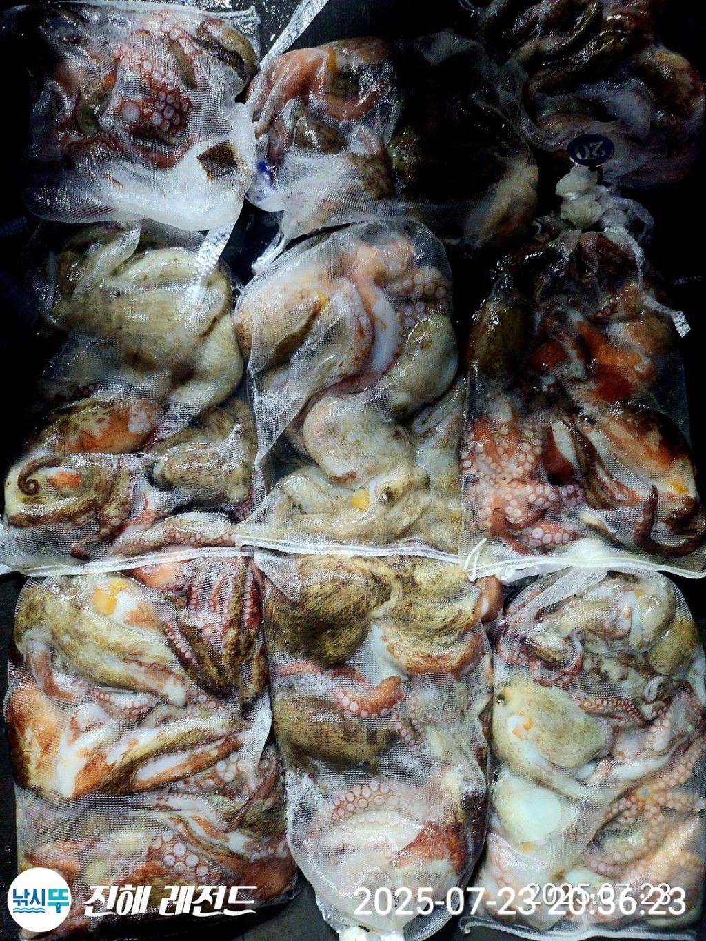 F273222116.jpg
