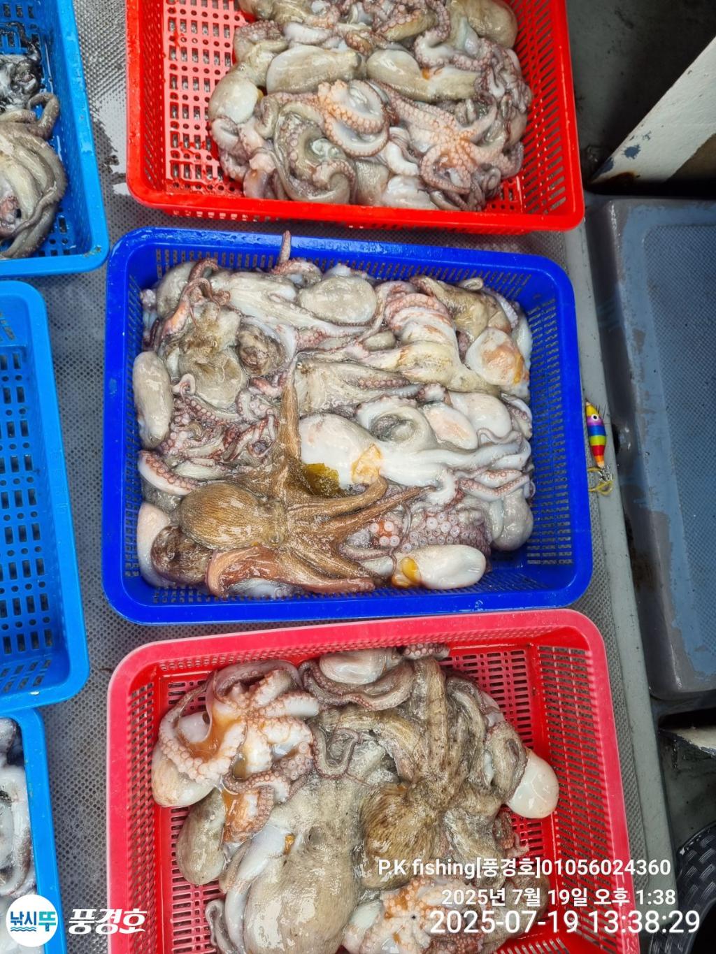F2732343S7.jpg