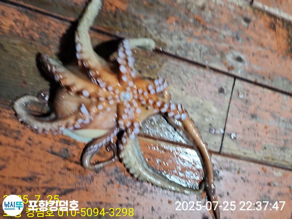 F273238523.jpg