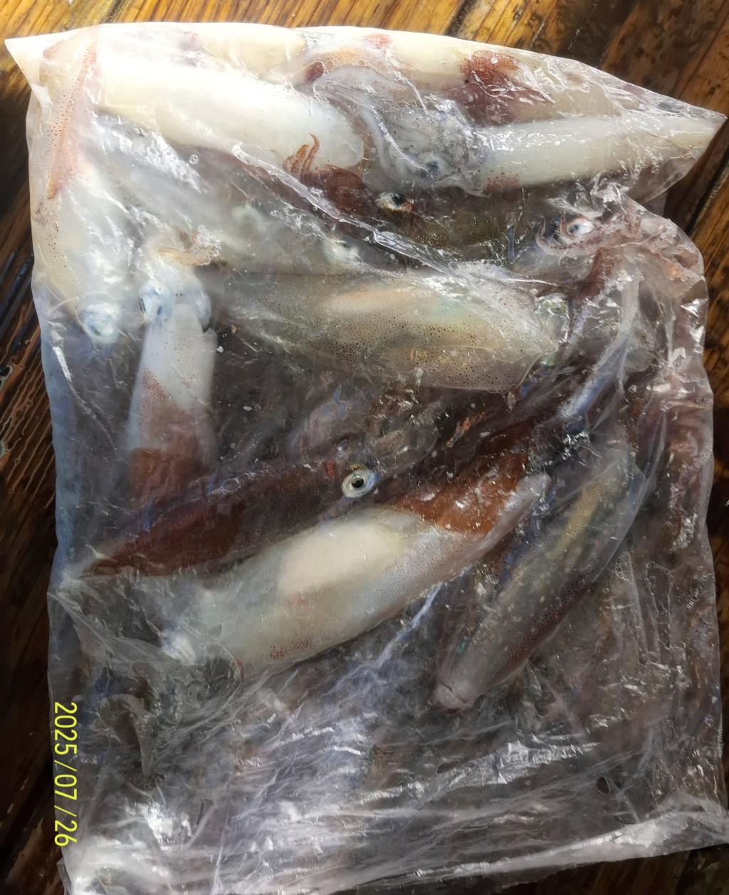 기타 (직접입력), 삼포대교낚시, 낚시뚜