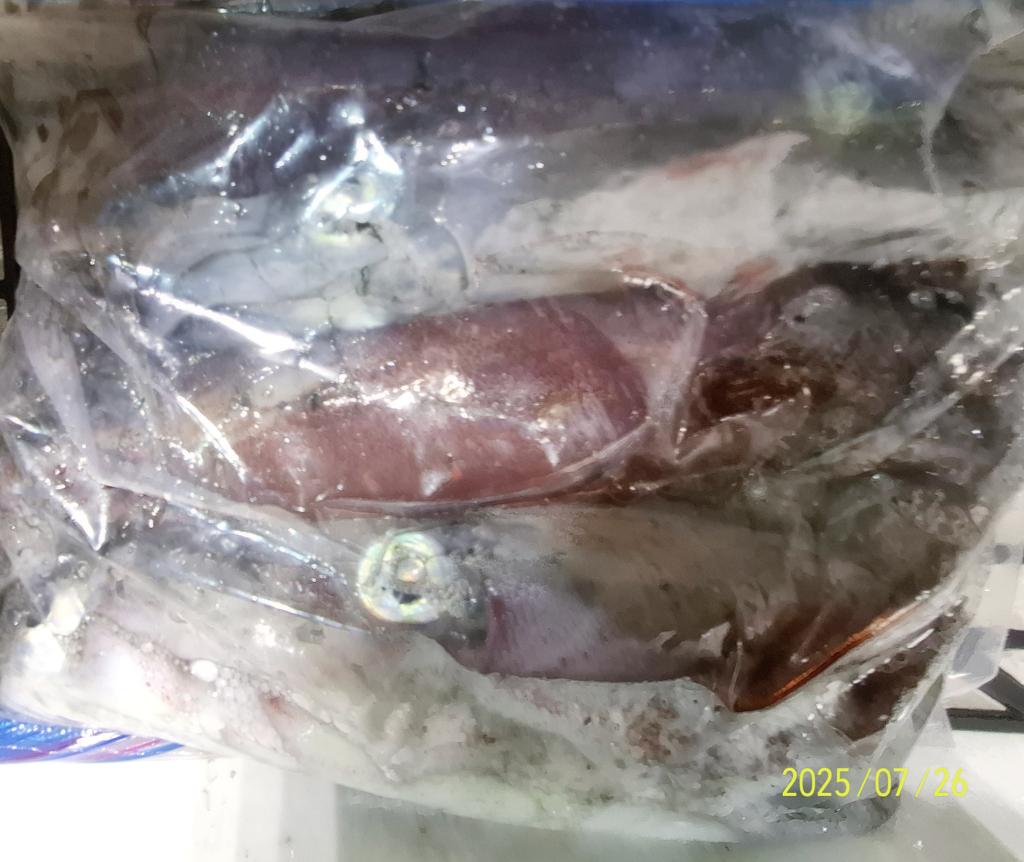 기타 (직접입력), 삼포대교낚시, 낚시뚜