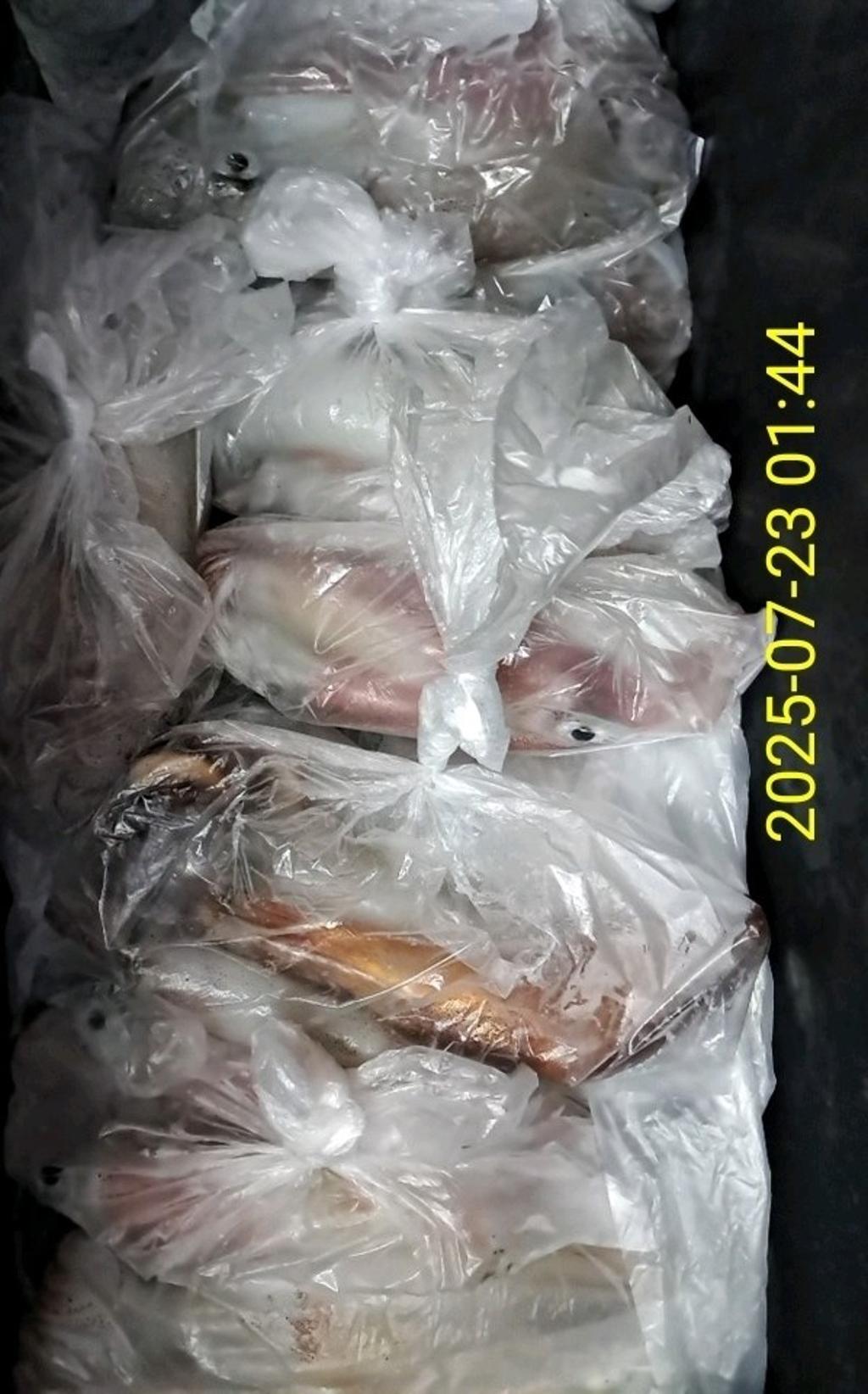 기타 (직접입력), 삼포대교낚시, 낚시뚜