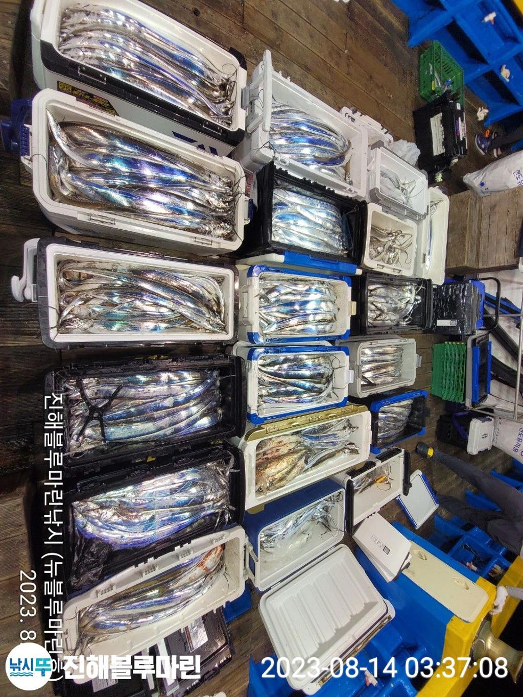 F2732588R1.jpg