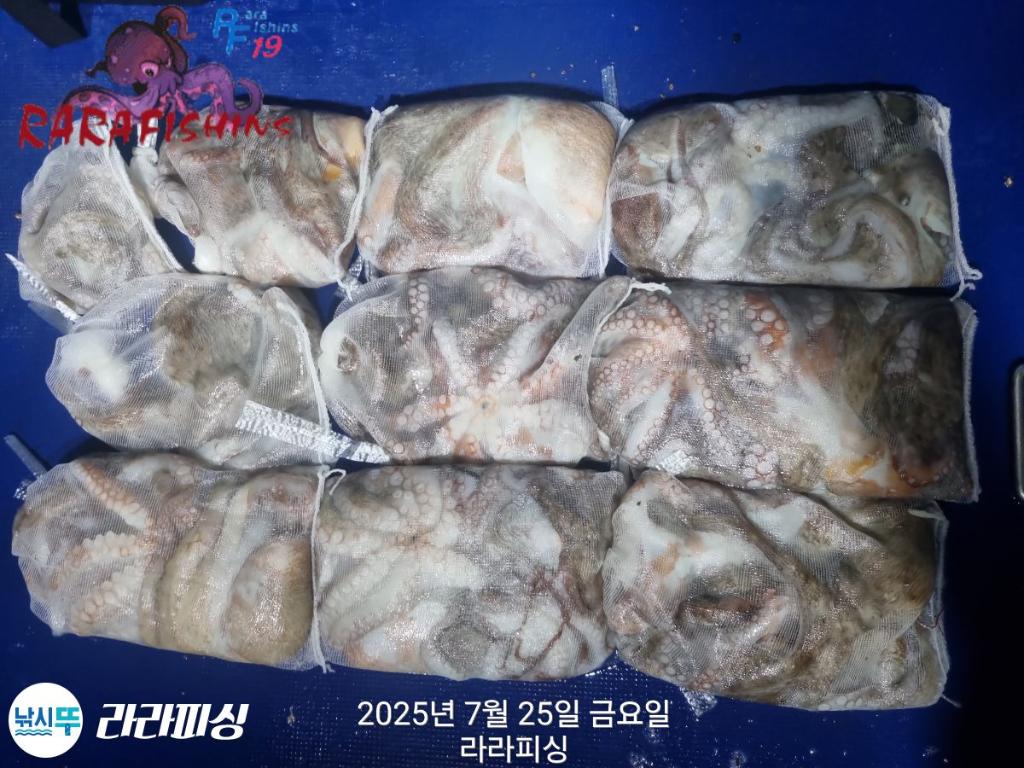 F2732622SI.jpg