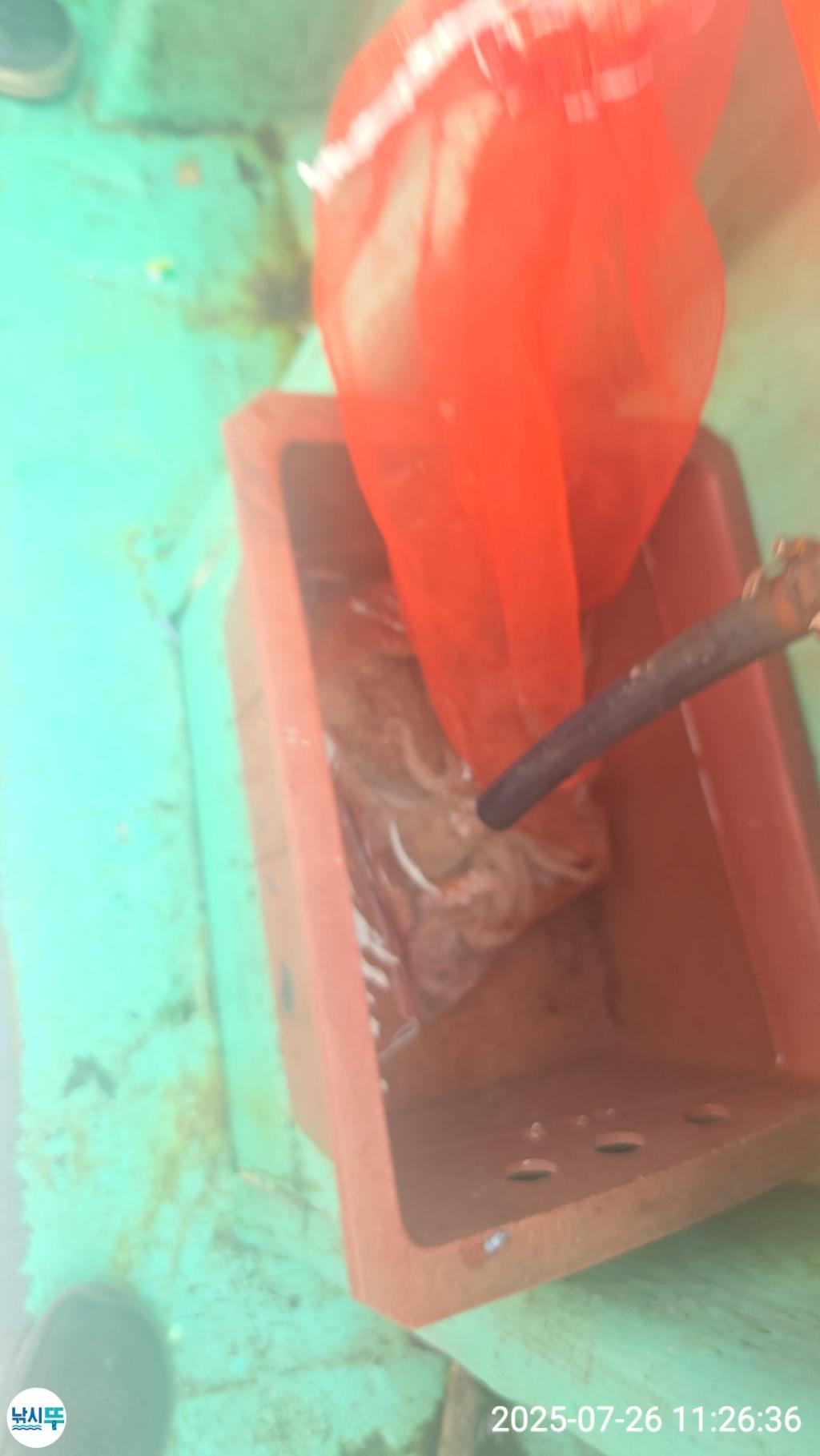 F2732681ER.jpg