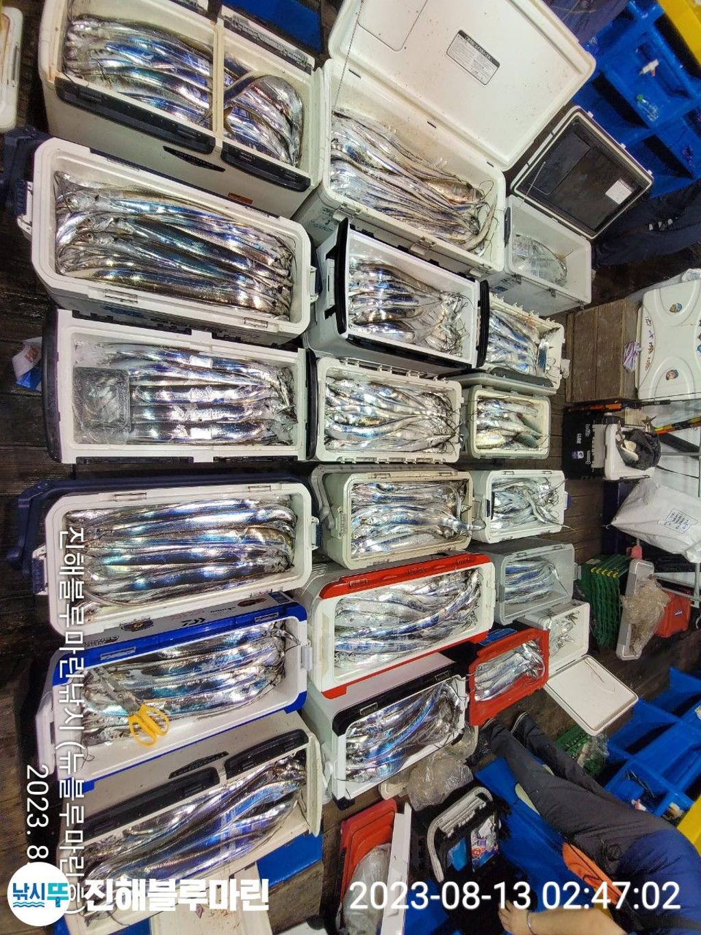 F2732771MM.jpg