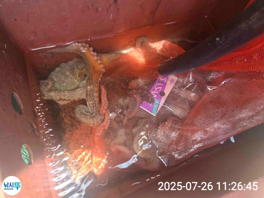 F2733069O2.jpg