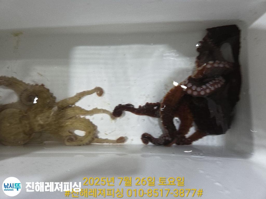 F2733194GD.jpg
