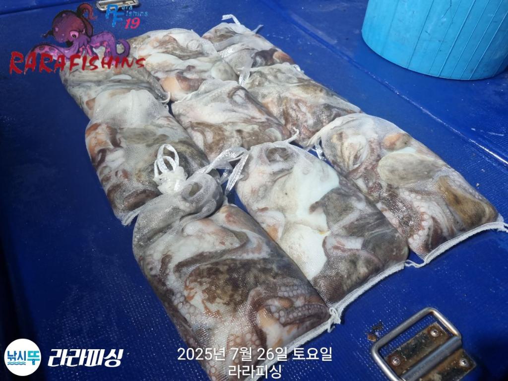 F2733281QA.jpg