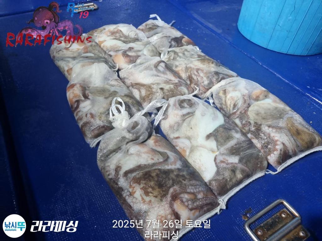 F2733282ZC.jpg
