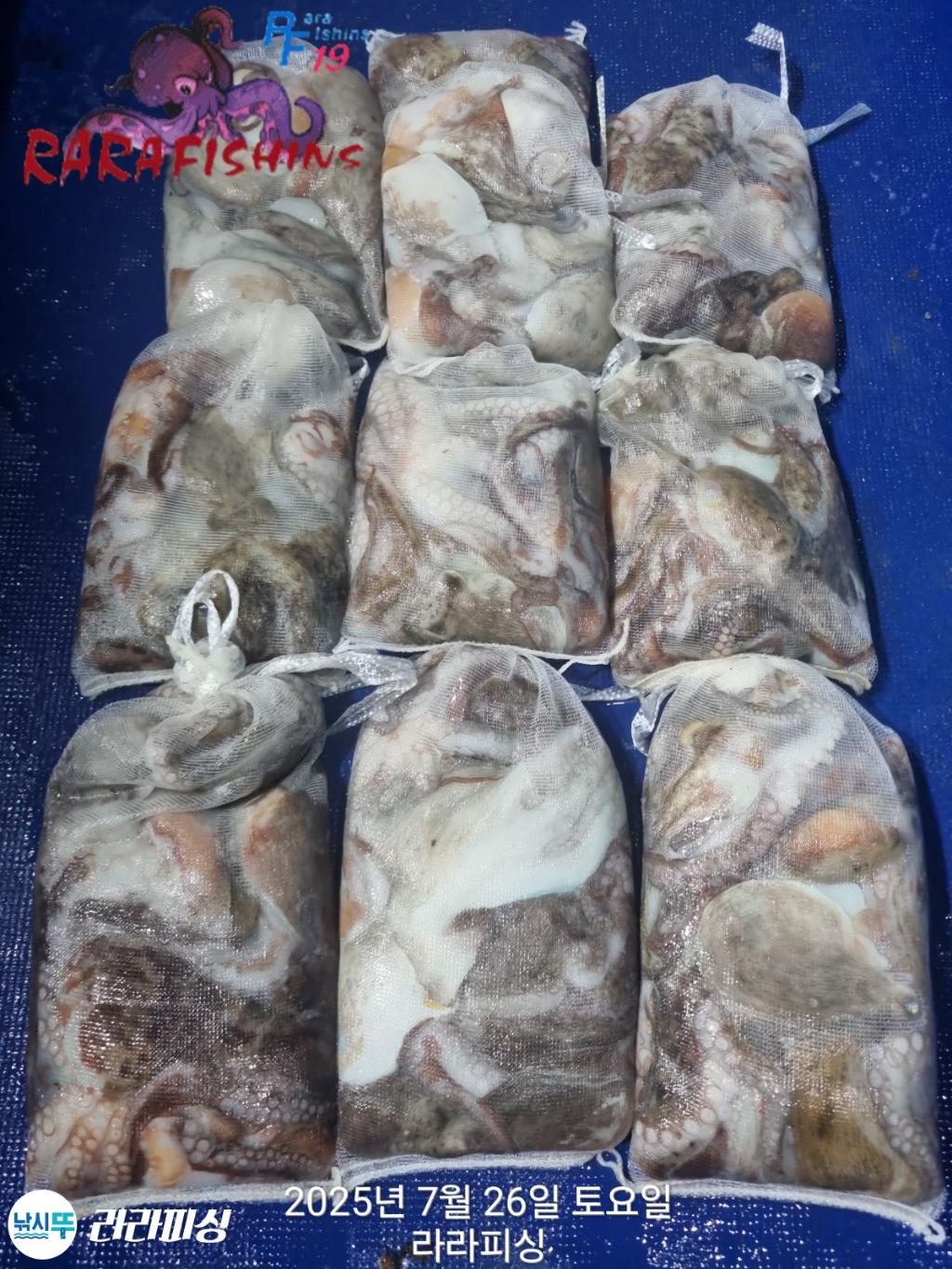 F2733299IK.jpg