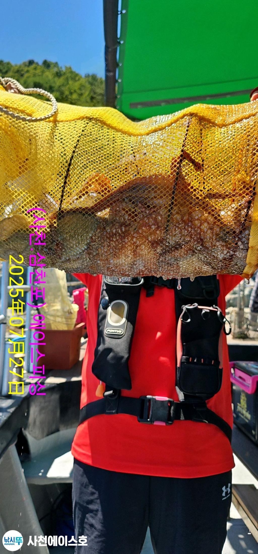 F2733331B4.jpg