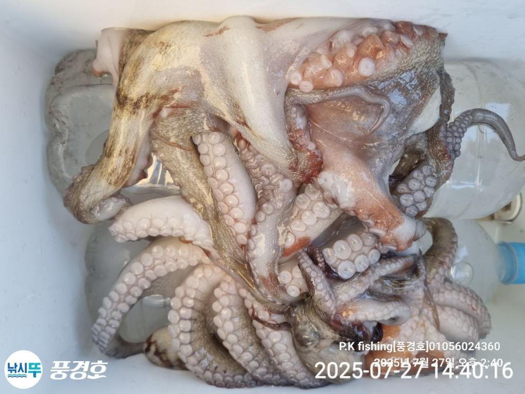 F2733392CH.jpg