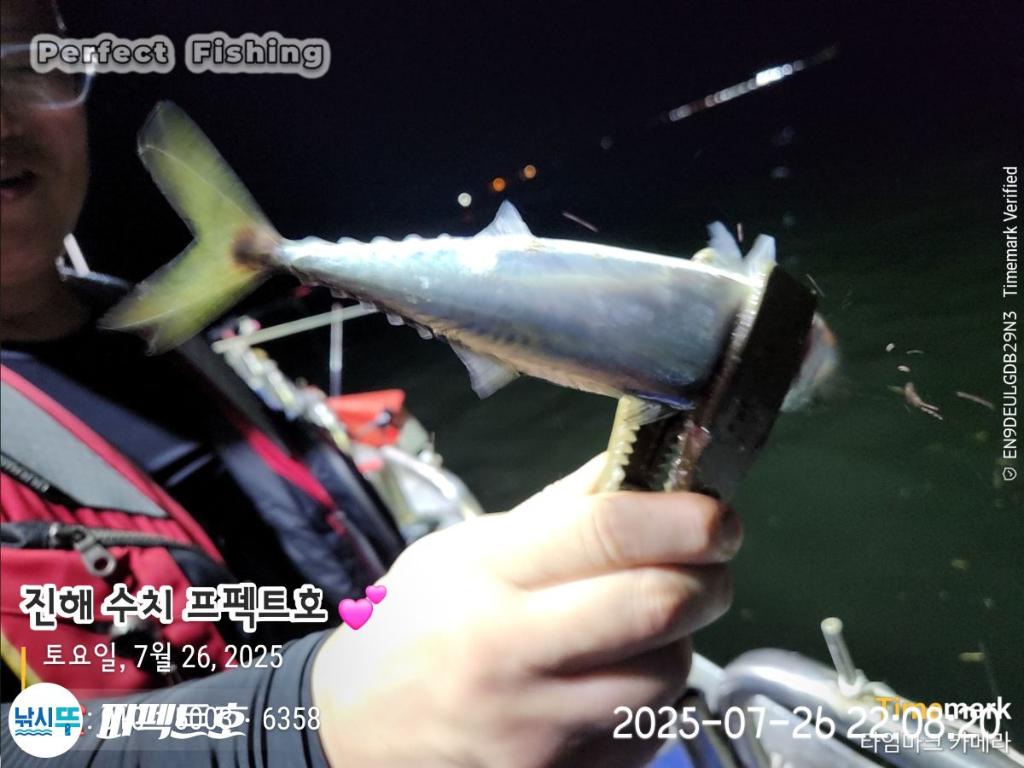 F2733450CJ.jpg