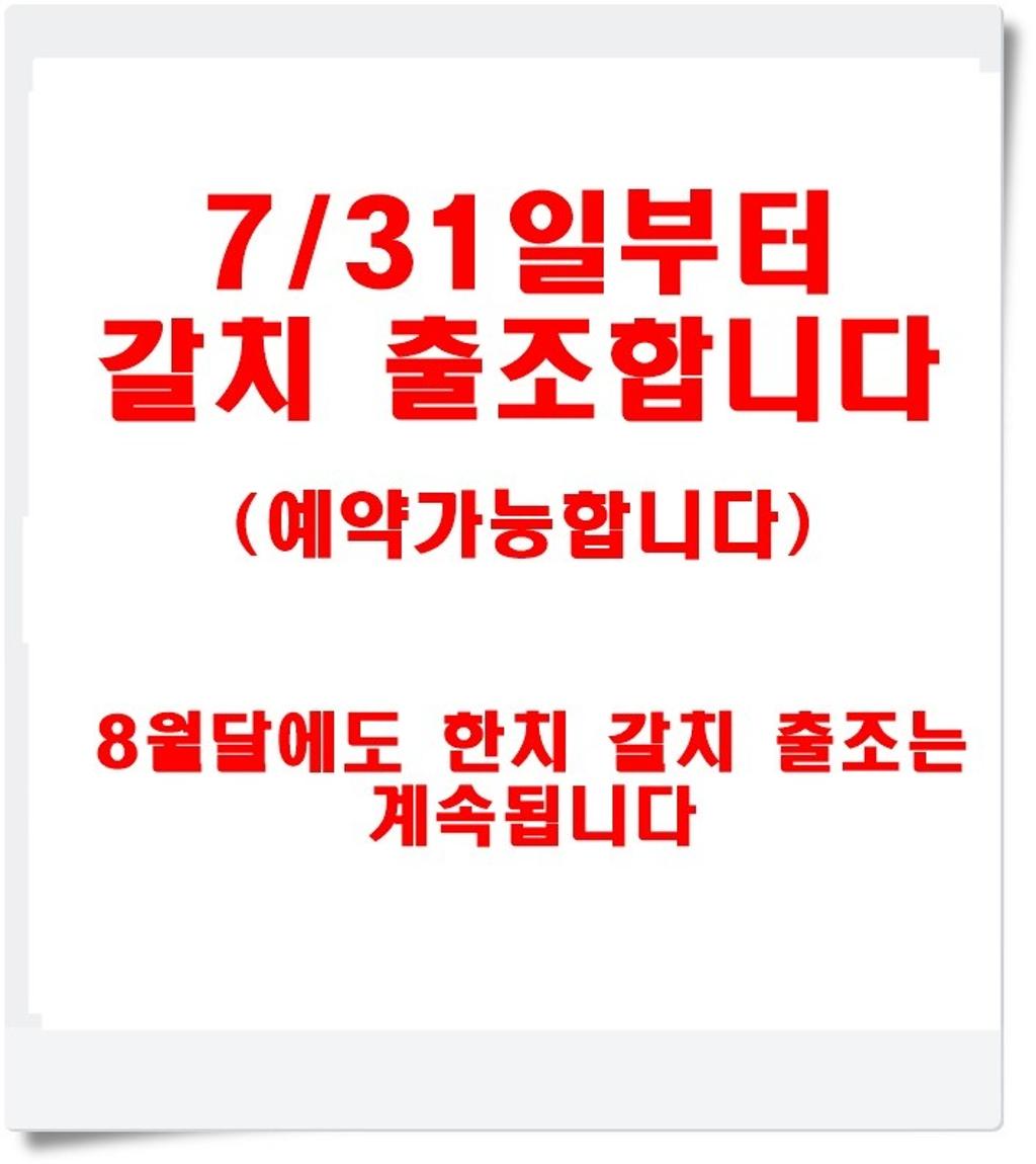 기타 (직접입력), 삼포대교낚시, 낚시뚜