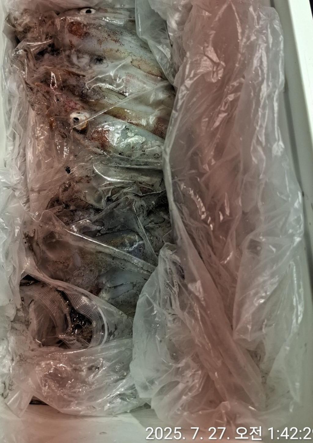 기타 (직접입력), 삼포대교낚시, 낚시뚜