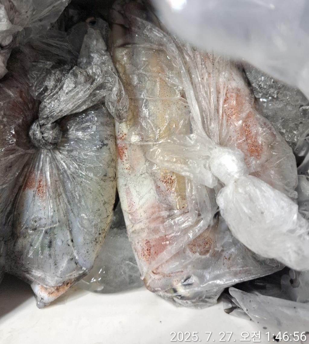 기타 (직접입력), 삼포대교낚시, 낚시뚜