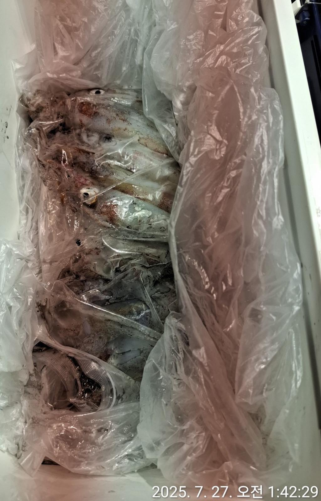 기타 (직접입력), 삼포대교낚시, 낚시뚜