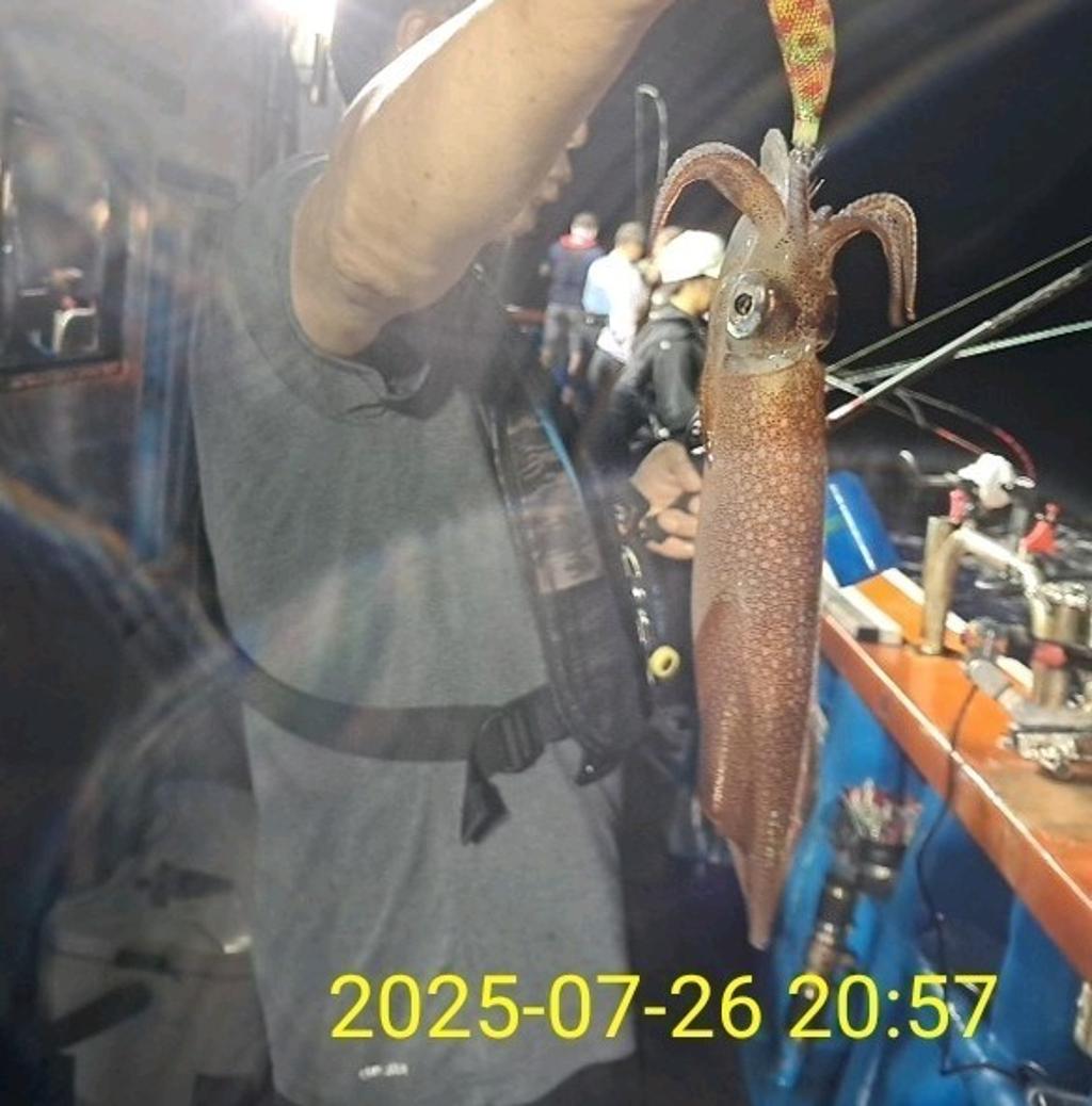 기타 (직접입력), 삼포대교낚시, 낚시뚜