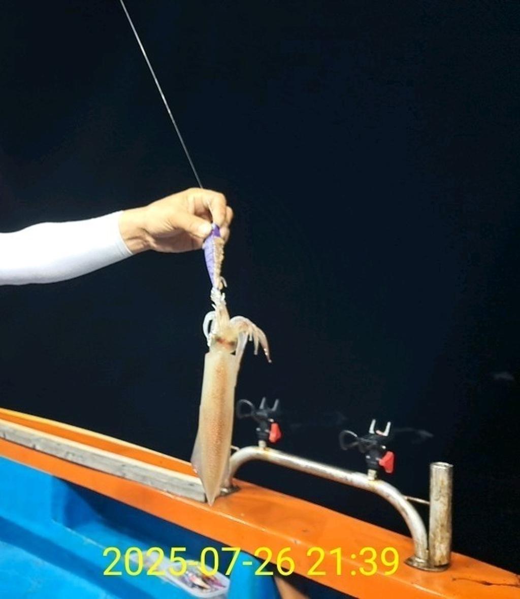 기타 (직접입력), 삼포대교낚시, 낚시뚜