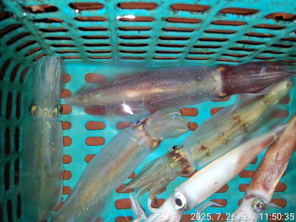 기타 (직접입력), 삼포대교낚시, 낚시뚜