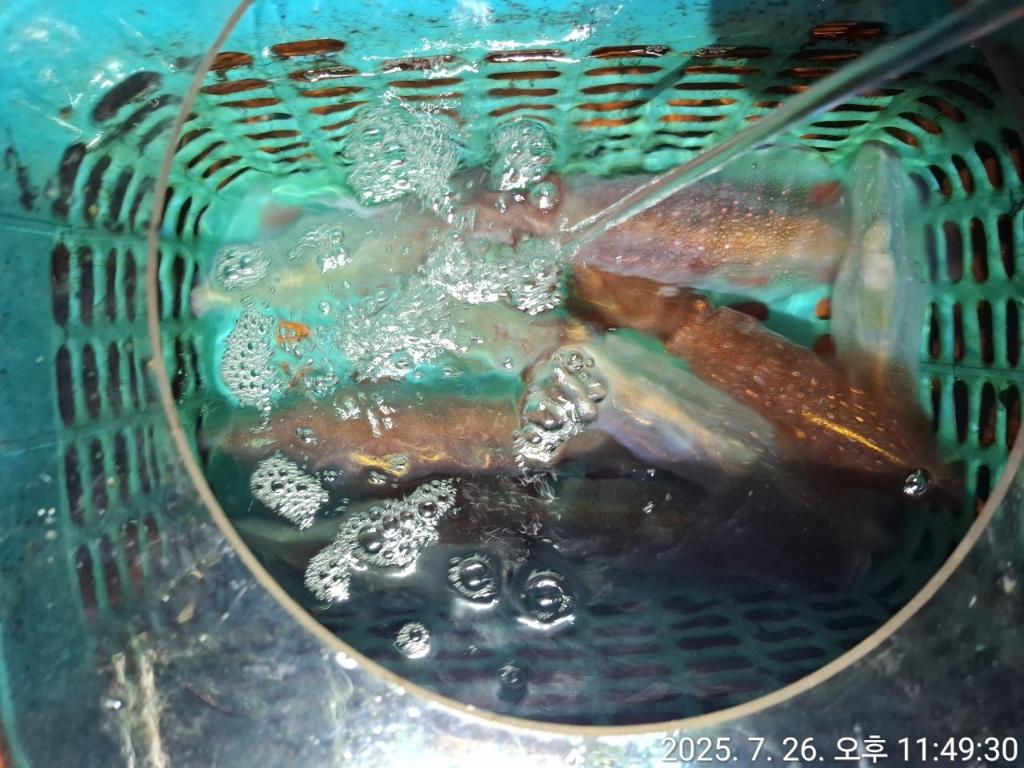 기타 (직접입력), 삼포대교낚시, 낚시뚜