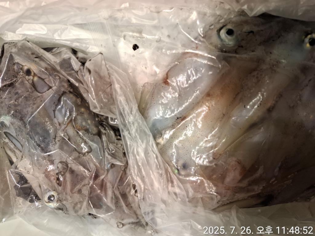 기타 (직접입력), 삼포대교낚시, 낚시뚜