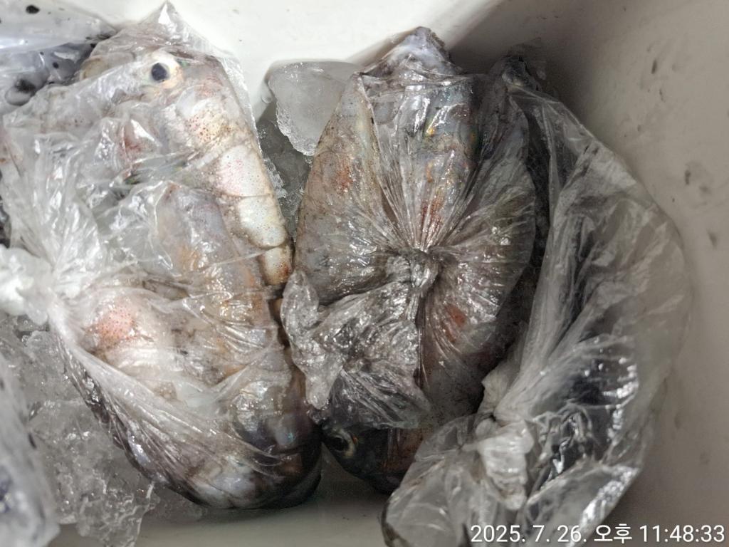 기타 (직접입력), 삼포대교낚시, 낚시뚜