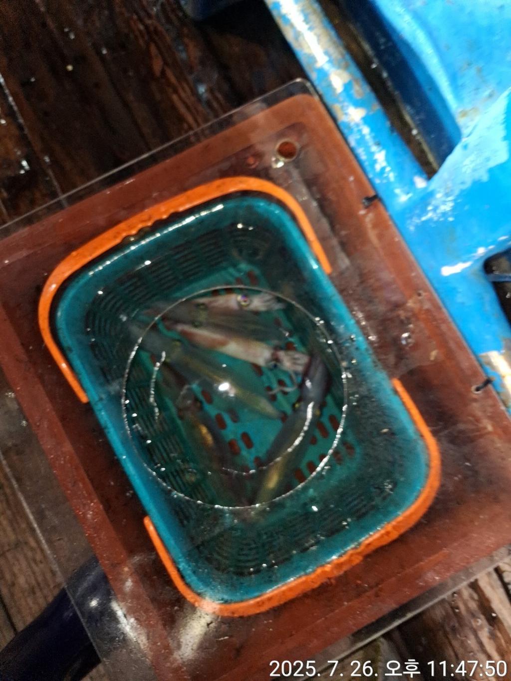 기타 (직접입력), 삼포대교낚시, 낚시뚜