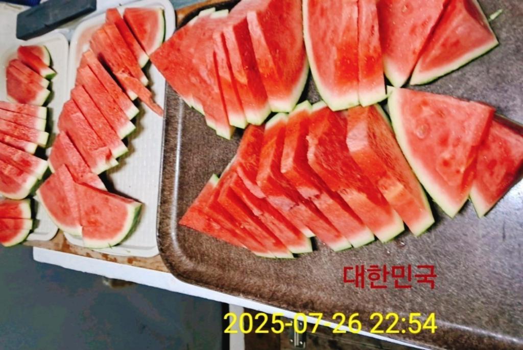 기타 (직접입력), 삼포대교낚시, 낚시뚜