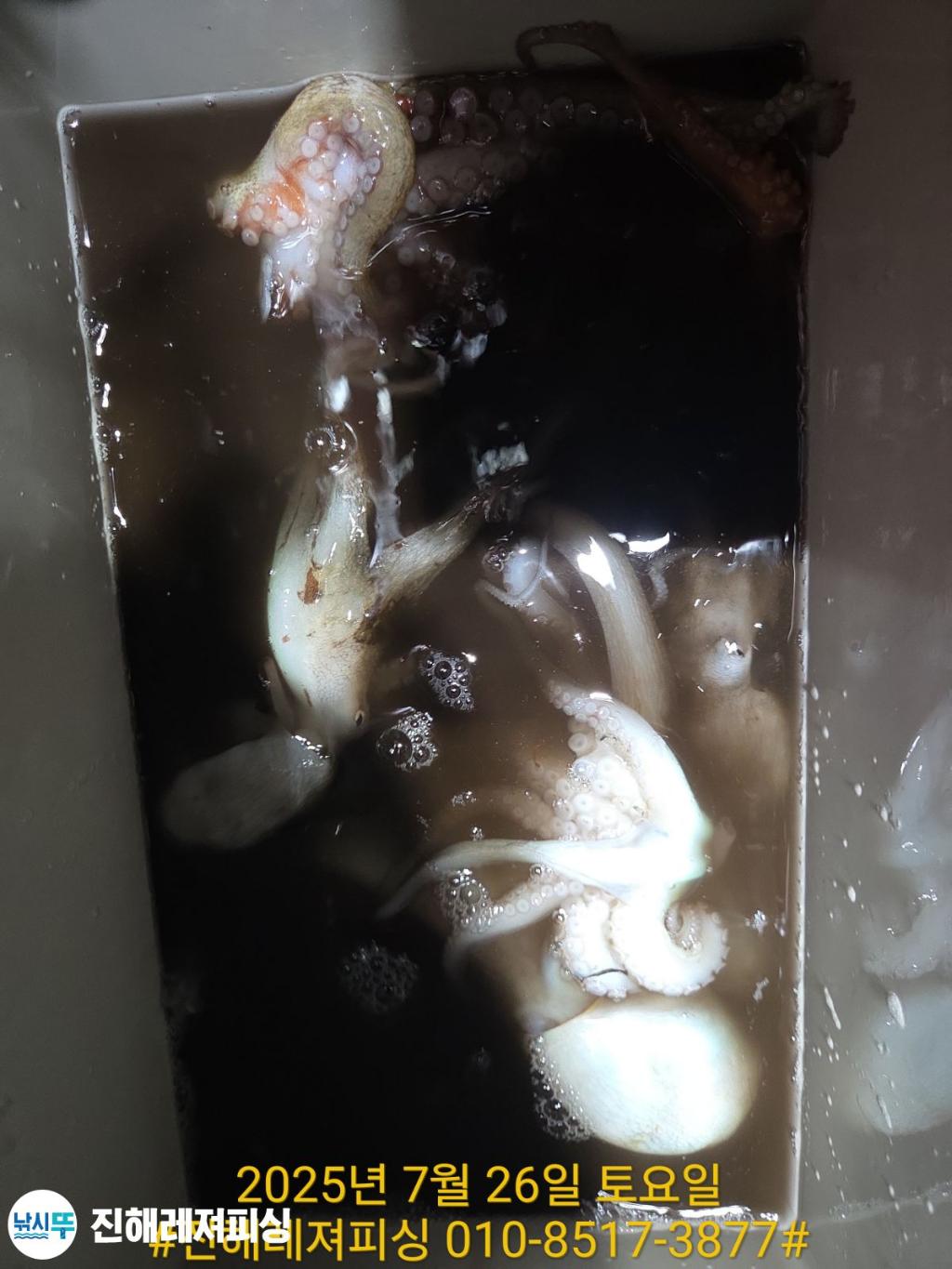 F273392188.jpg