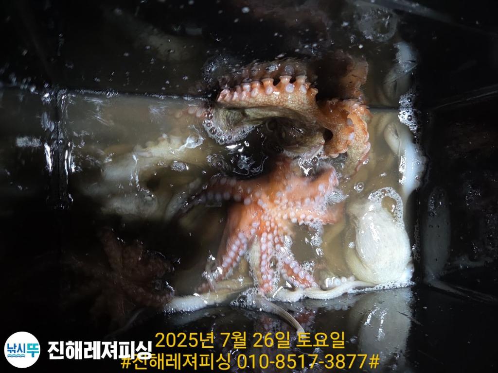 F2733924JV.jpg