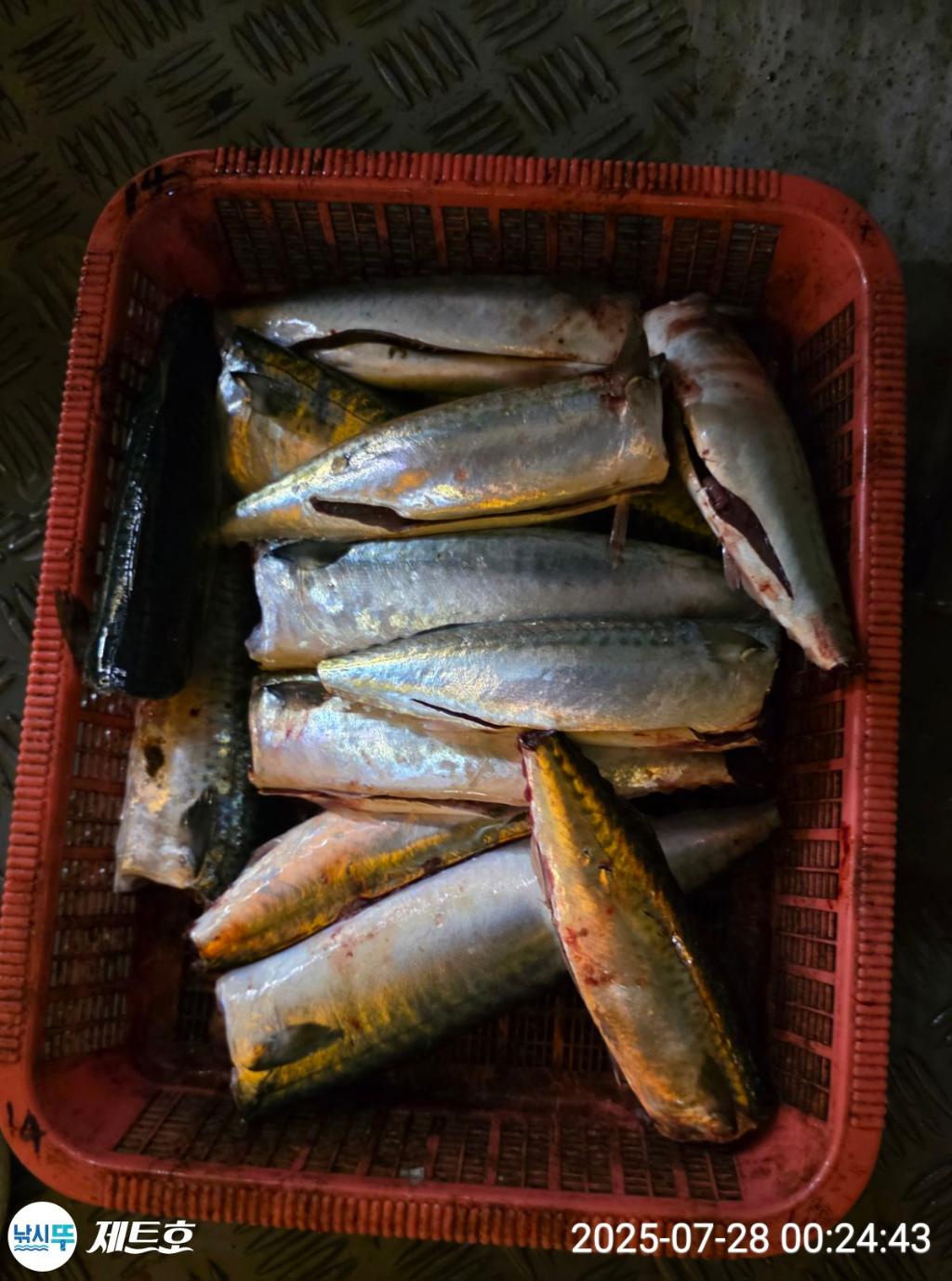 F27339602P.jpg