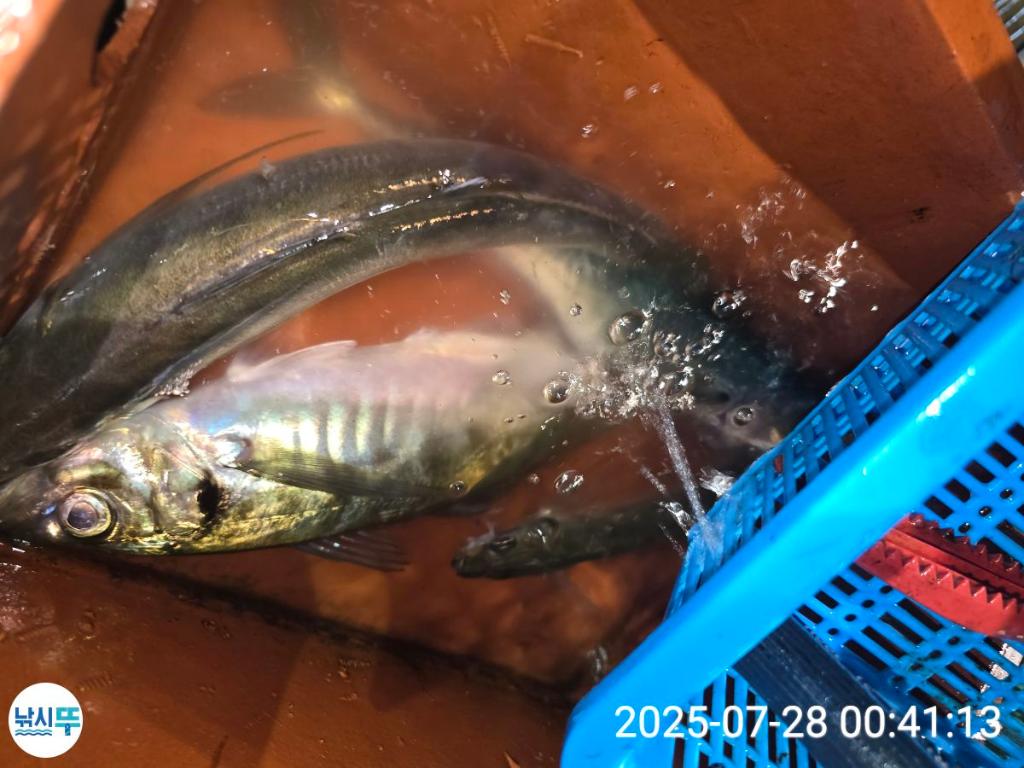 F273406051.jpg