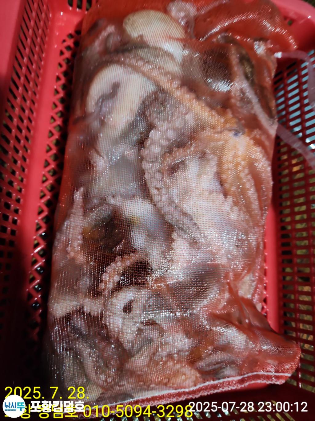 F2734307DT.jpg