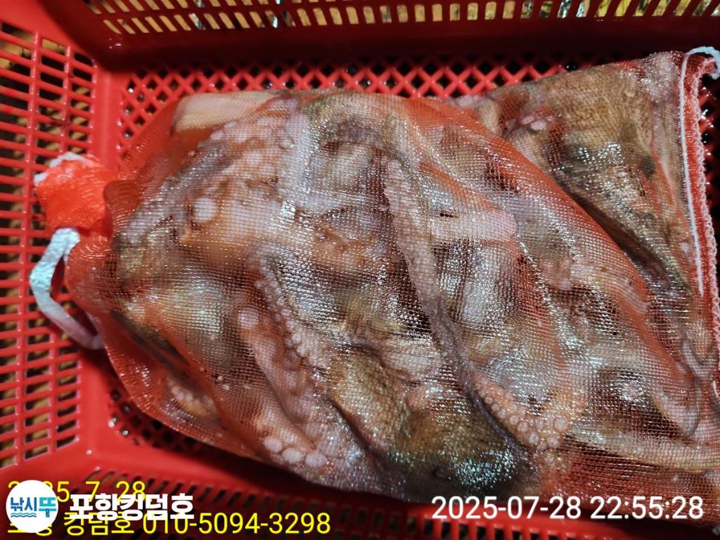 F273431085.jpg