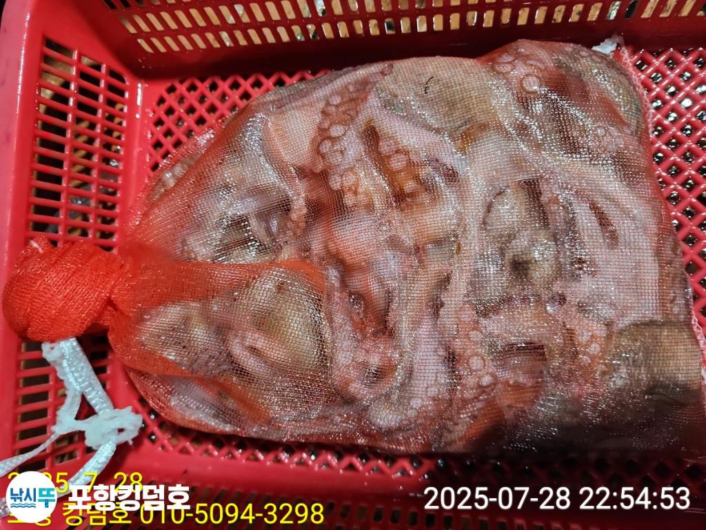 F2734312MU.jpg